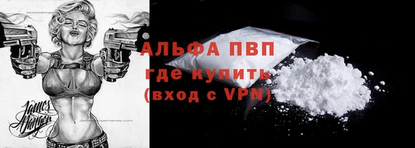 эйфоретик Арсеньев