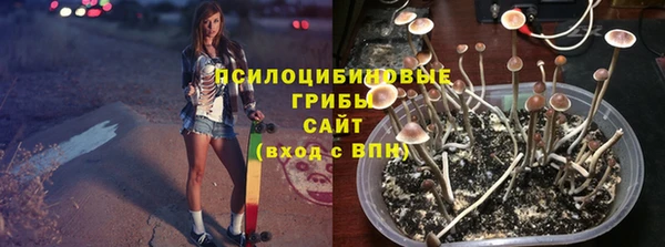 дмт Балахна