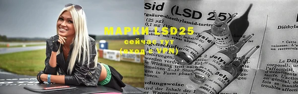 прущие грибы Баксан